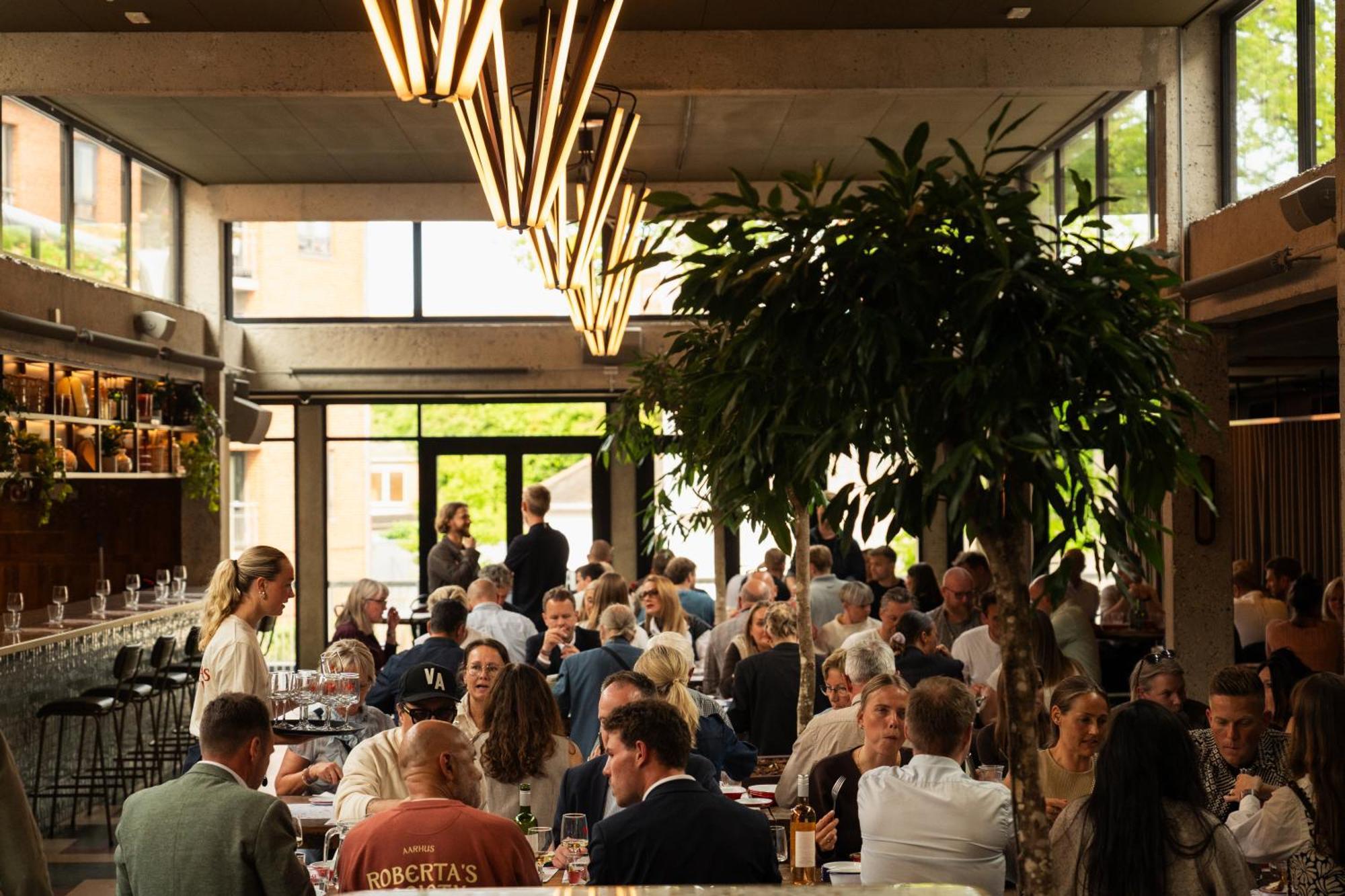 Roberta's Society Hostal Århus